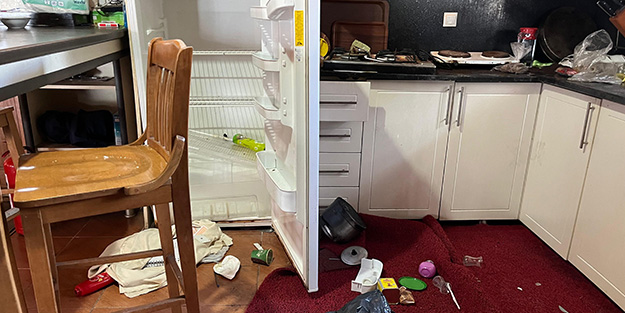 Aç kalan ayılar kapılarını parçaladıkları kayak tesisinde yiyecek aradı