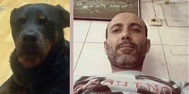 Aç kalan köpek kendini asan adamı yemiş!