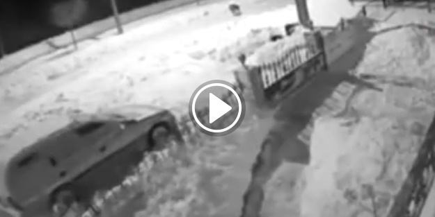 Aç kalan kurt şehre inip köpeğe saldırdı