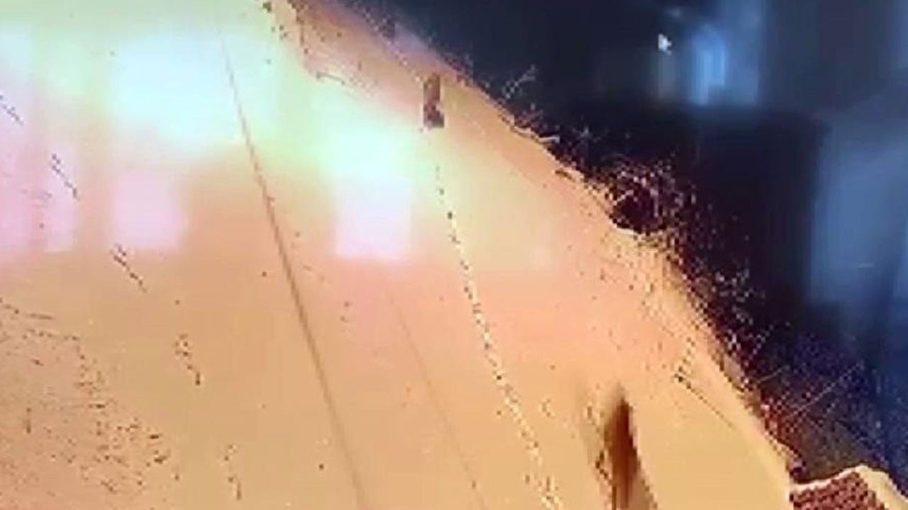 Aç kalan kurt sürüsü şehir merkezinde görüldü