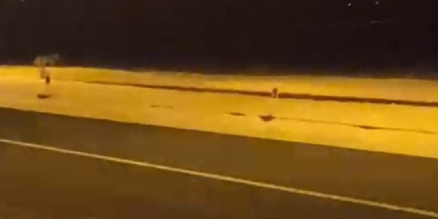 Aç kalan kurtlar şehir merkezine indi