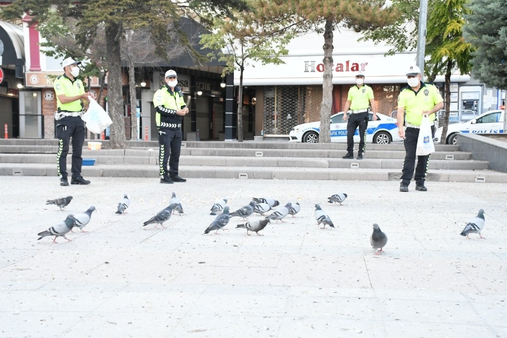Aç kalan kuşları polis yemledi 