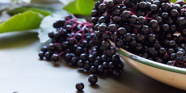 Acai böğürtleni lösemiye iyi geliyor