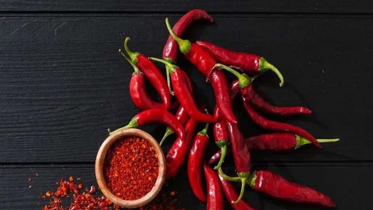 Acı biber bunamayı engeller! Şifa saçıyor: Yedikçe vücutta yağ oranını düşürdü!
