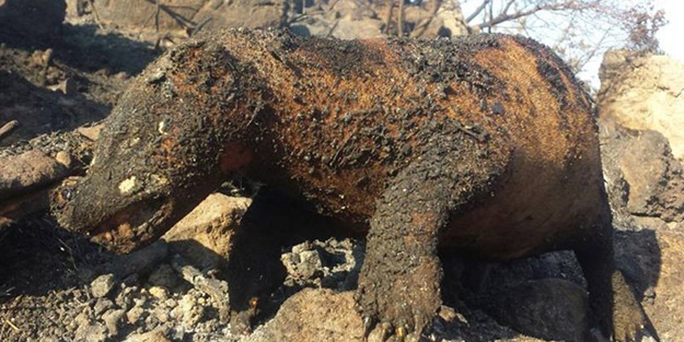 Acı manzara gün ağarınca ortaya çıktı