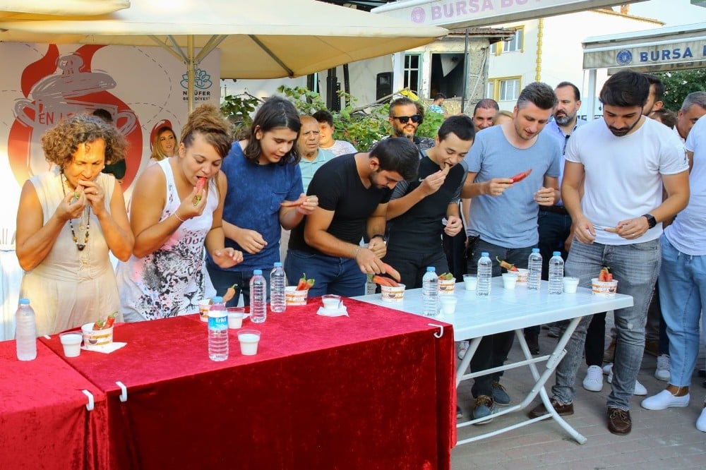 “Acı tatlı festival” 