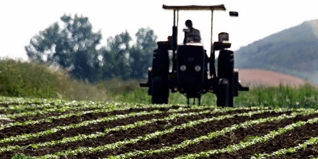 Açık kapandı: Tohumda satıcı olduk