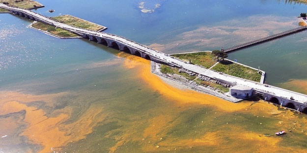 Acil olarak peş peşe çağırı yaptılar: İstanbul'da denizdeki renk değişimi tedirgin etti