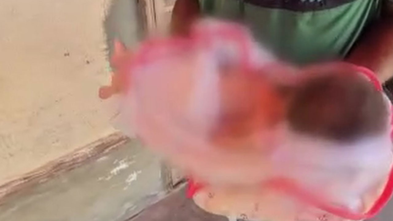 Acılı baba böyle isyan etti! Gazze'de bir bebek daha açlıktan öldü