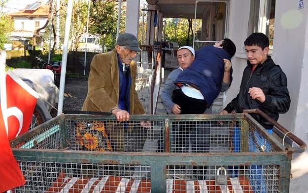 Acılı baba oğlunu hastahaneye el arabasıyla götürdü.