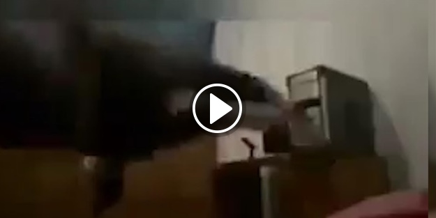 Açılmayan bilgisayara uçan tekme attı