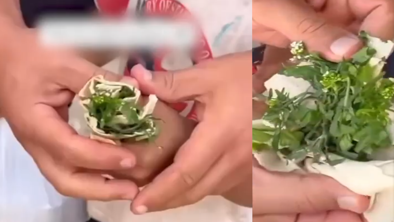 Açlıkla savaşan Gazzeli çocuk, ekmeğinin arasına çimen koydu!