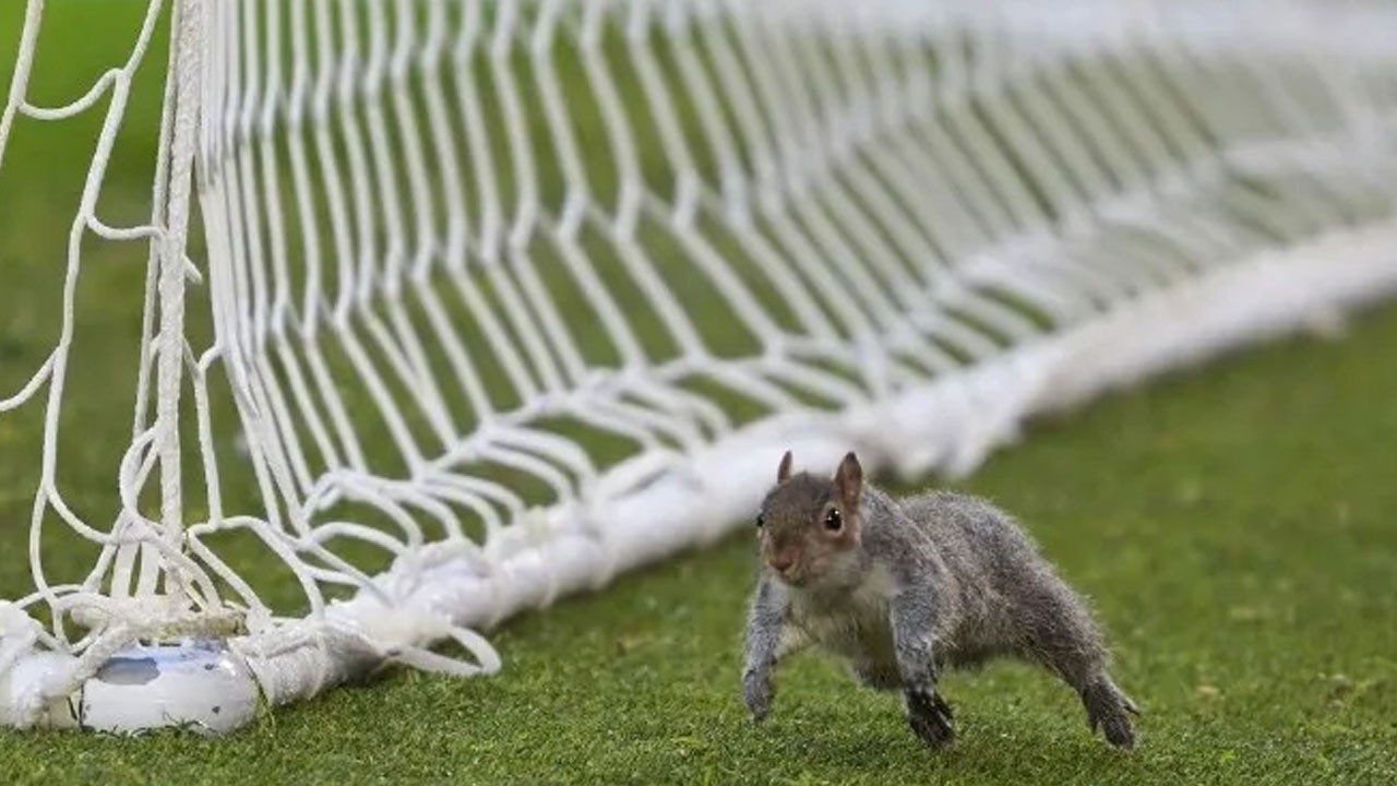 Acun’a sincap darbesi! Takımı 3-2 yenildi