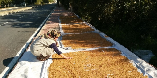 Bulgurluk buğdaylar kaldırımda kurutuluyor