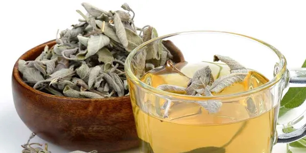 Ada çayı nasıl demlenir? Ada çayı tarifi... Adaçayı ne işe yarar, farkı ne?