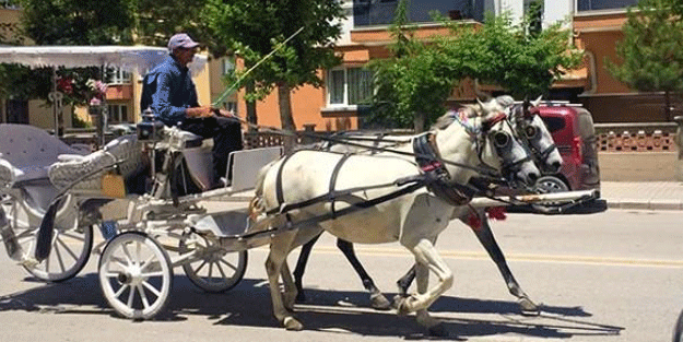 Adalar'da flaş fayton kararı