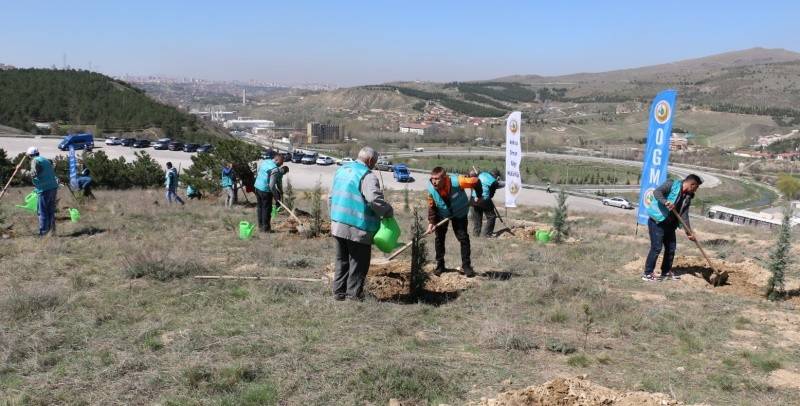 Adalet teşkilatı 111 bin fidanı toprakla buluşturacak