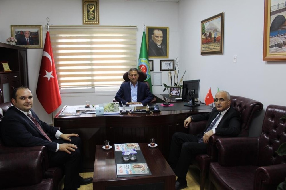 Adana karpuzu markalaşıyor 