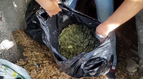 180 kilo esrar ele geçirildi