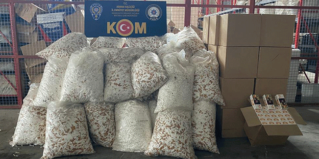 Adana'da 4 milyon 269 bin 600 makaron ele geçirildi