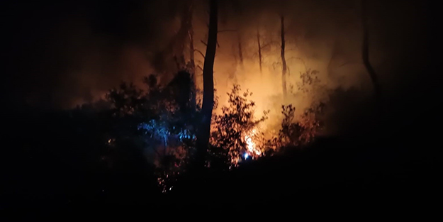Adana’da aynı bölgede bir haftada ikinci orman yangını