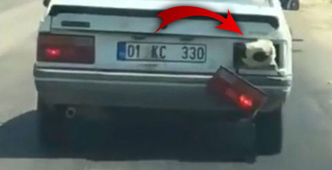Adana'da bagajda taşıdığı koyunun nefes alması için arka stop farını söktü