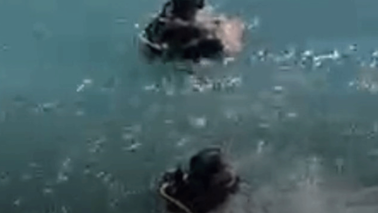 Adana'da bir cep telefonu için hayatından oldu!