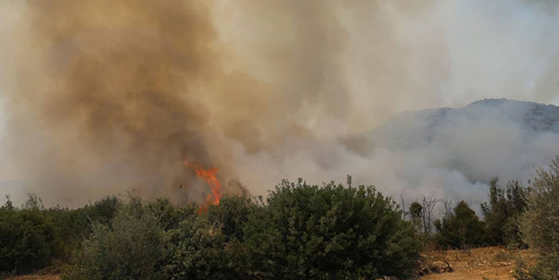 Adana'da çıkan orman yangını kontrol altına alındı