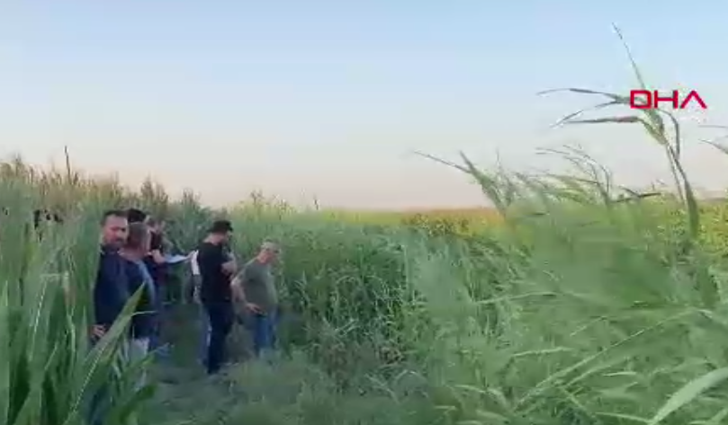 Adana'da dere kenarında korkunç keşif! Kimliği belli oldu