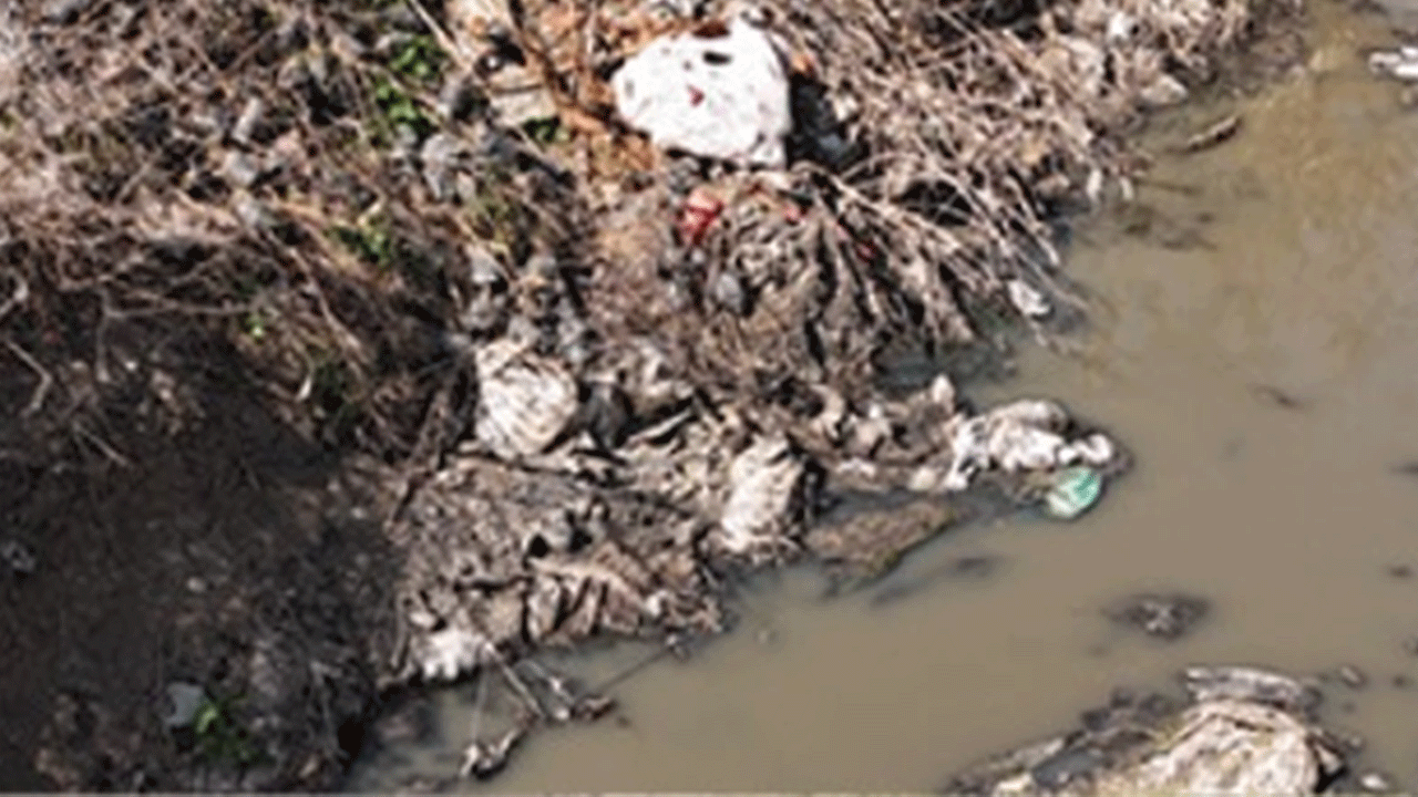Adana'da dere yatağından çıkan kemikler panik yarattı!