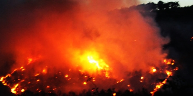 Adana'da feci orman yangını