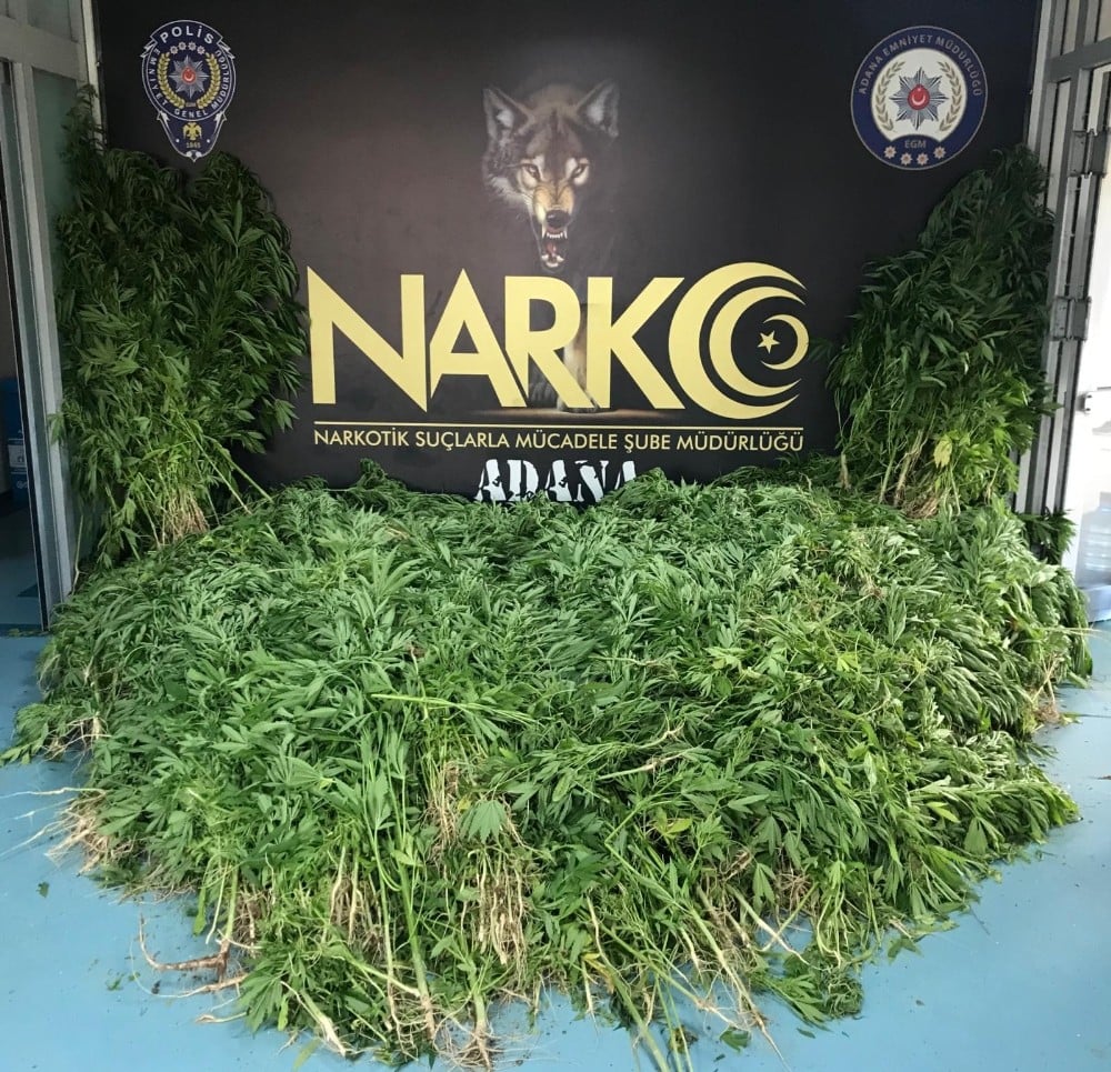 Adana’da Hint keneviri serasına baskın 