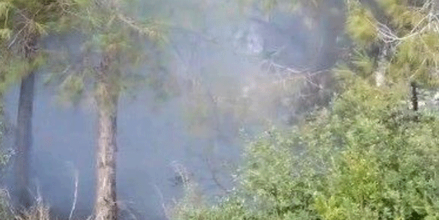 Adana'da korku dolu anlar! Büyümeden önlendi