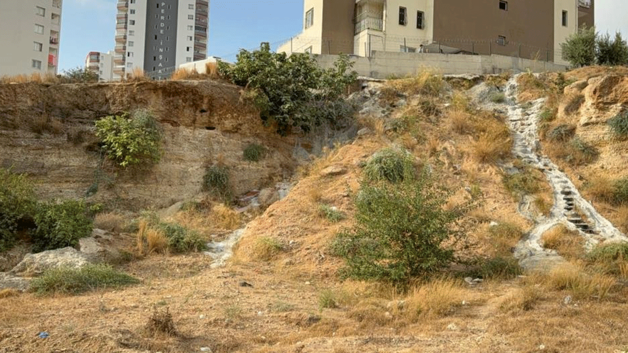 Adana’da korkunç görüntü! Yol kenarında ceset bulundu