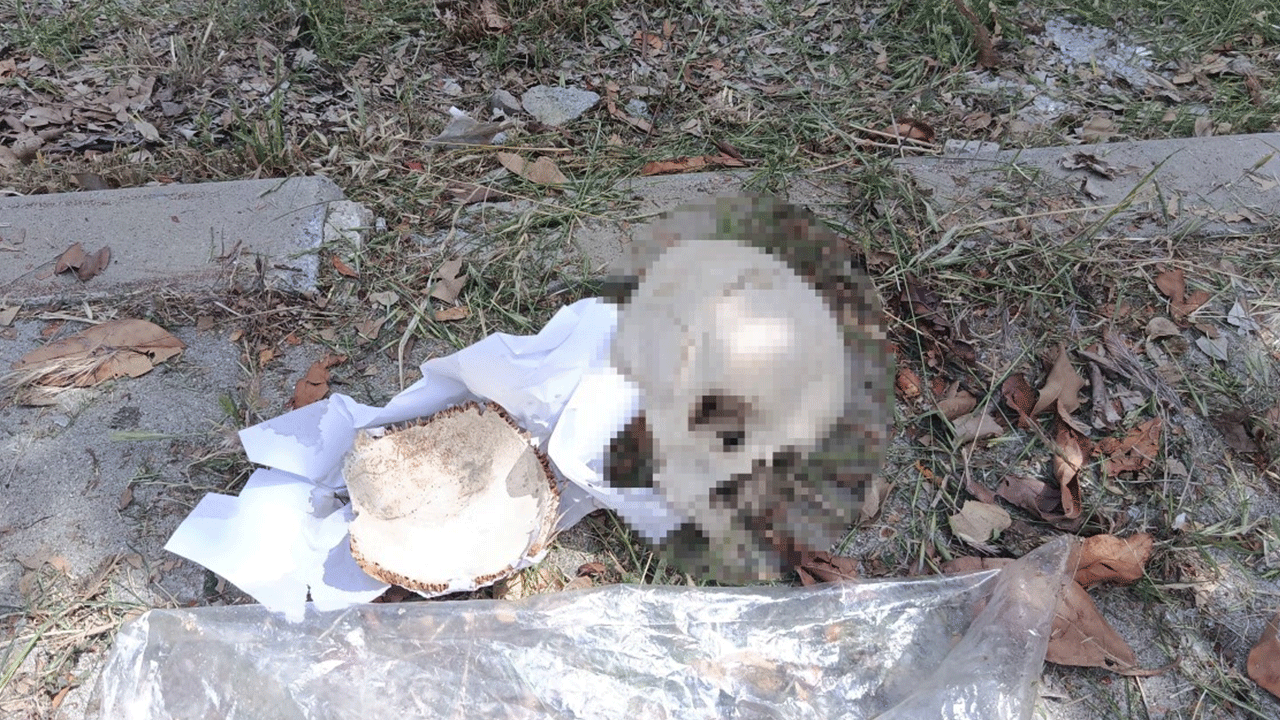 Adana'da korkunç olay: Çöp kutusundan insan kafatası çıktı!