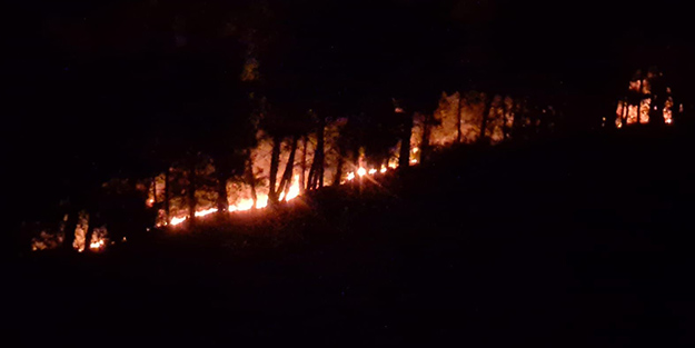 Adana’da korkutan orman yangını