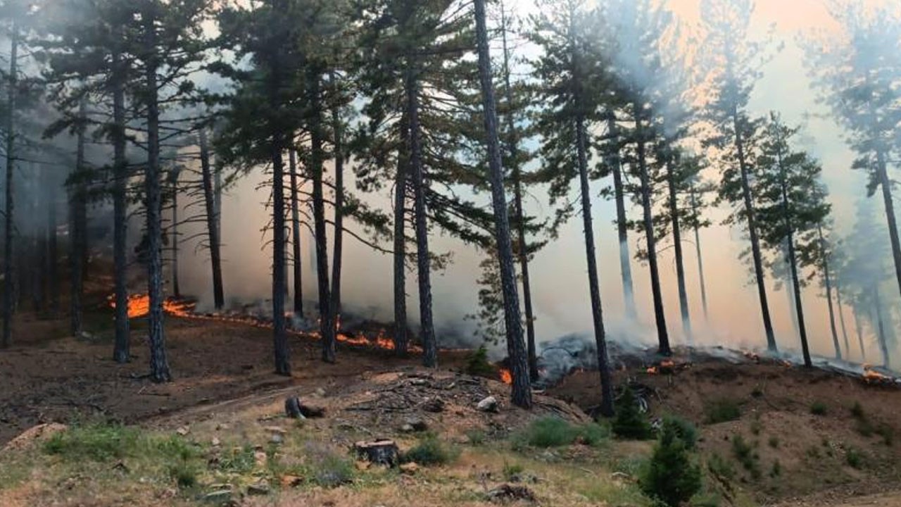 Adana’da korkutan orman yangını