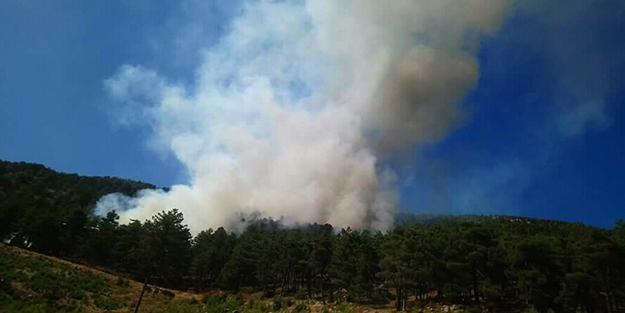 Adana'da korkutan yangın! Kontrol altına alındı