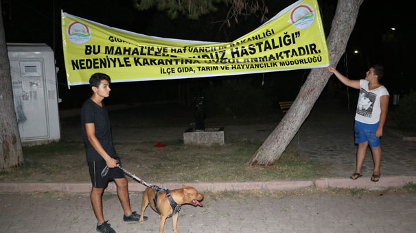Adana’da, ‘kuduz’ karantinası