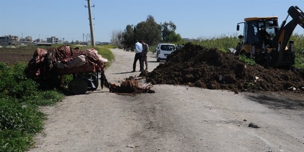 Adana'da mide bulandıran görüntü