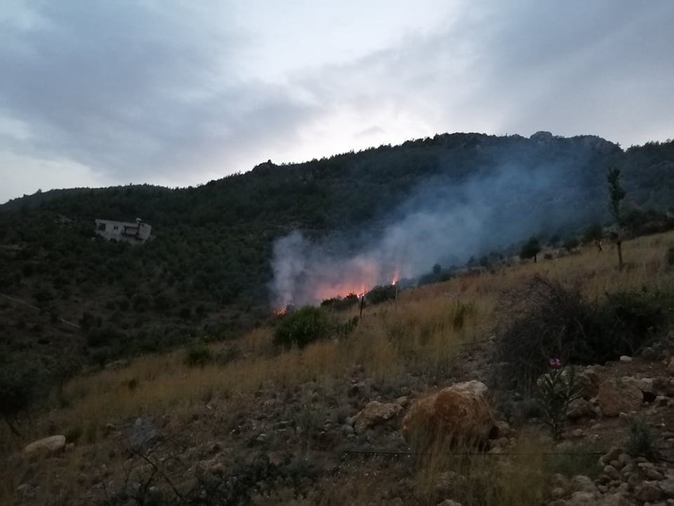 Adana’da orman yangını 