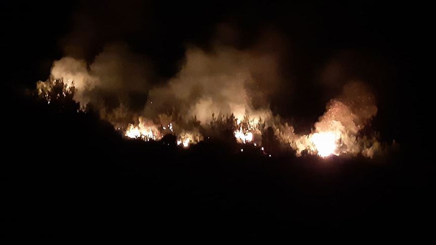Adana’da orman yangını