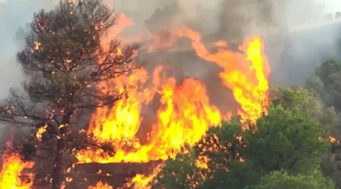 Adana'da orman yangını