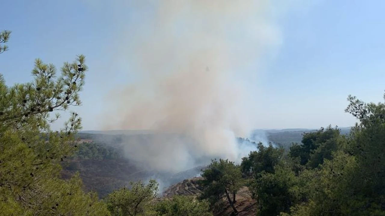 Adana'da orman yangını