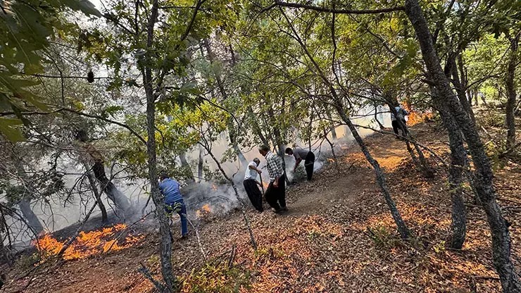 Adana’da orman yangını paniği! Ekipler seferber oldu
