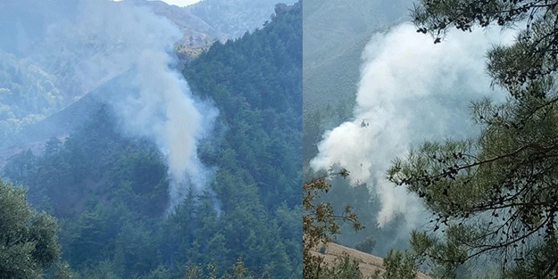 Adana’da orman yangınları kontrol altına alındı