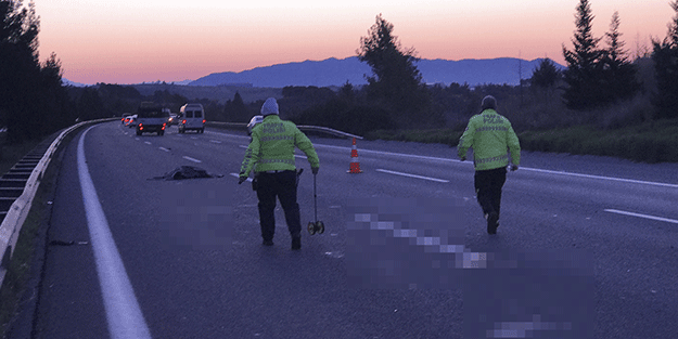 Adana’da otoyolda aracın çarptığı kişi öldü