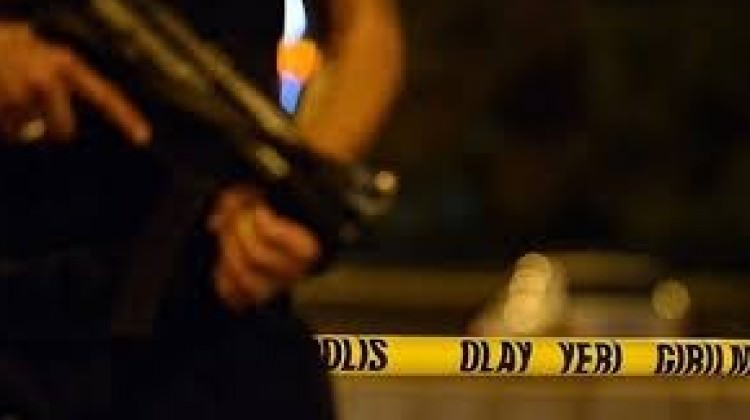 Adana'da polis aracına ateş açıldı