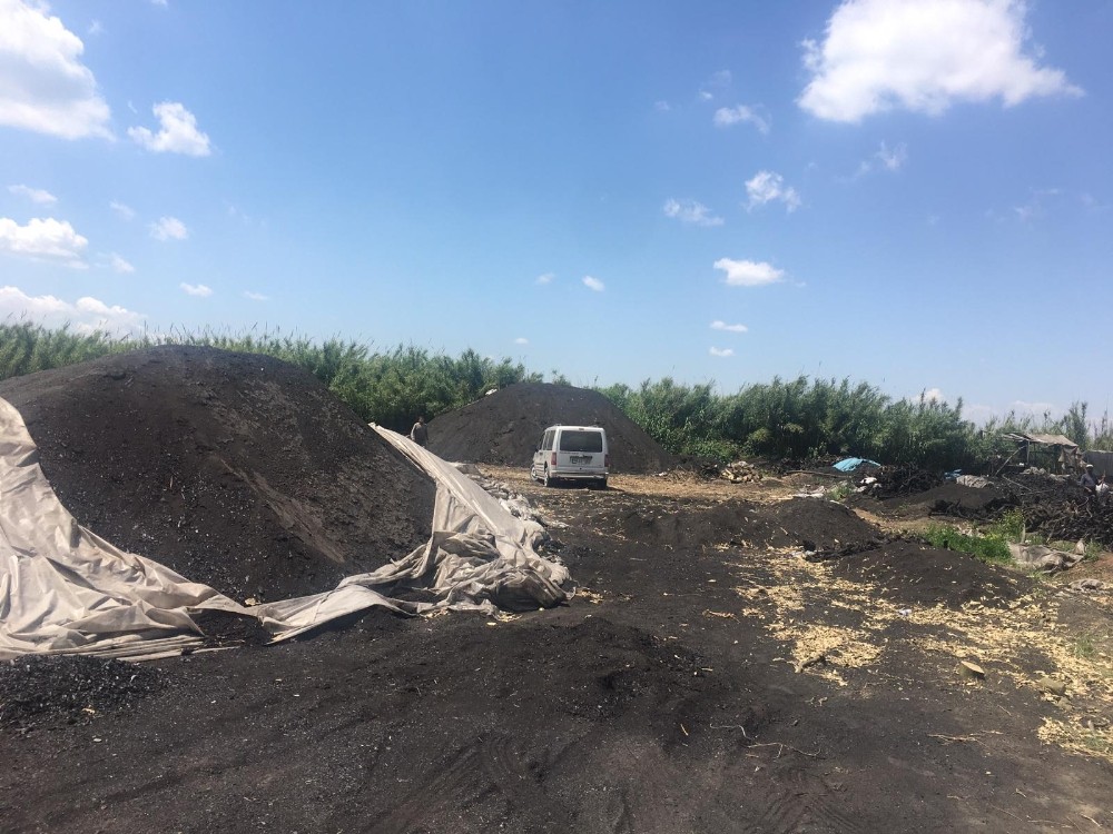 Adana’da ruhsatsız mangal kömürü üretimine son verildi 