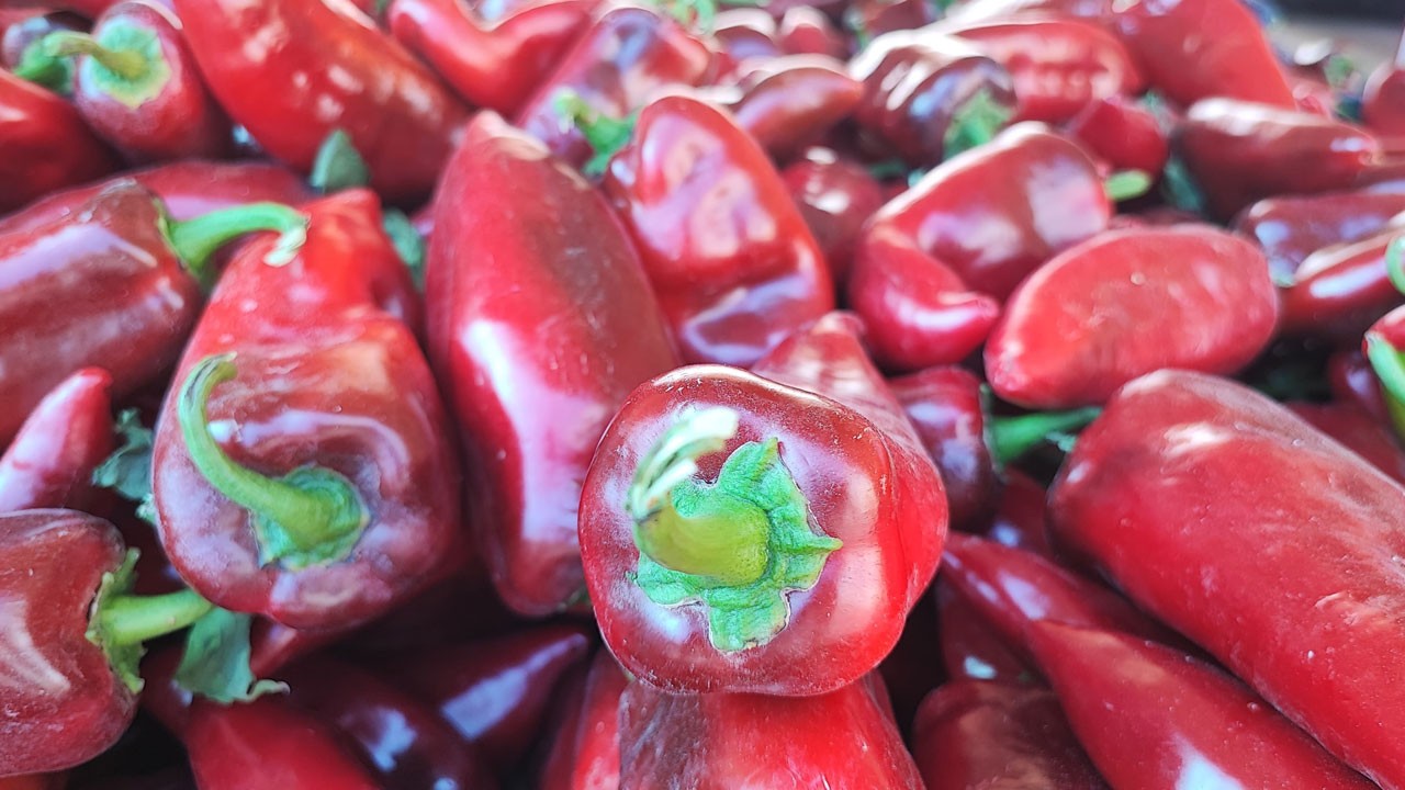 Adana’da salça telaşı başladı! 20 liradan başlıyor